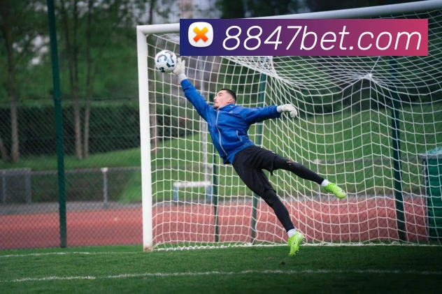 bet365comAPP 封面图